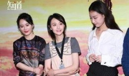 娱乐圈吃瓜群众之歌,揭秘“吃瓜群众”之歌背后的故事